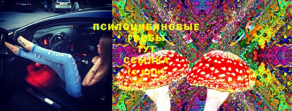 гидра Абдулино