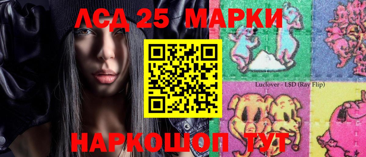 Псилоцибиновые грибы Норильск