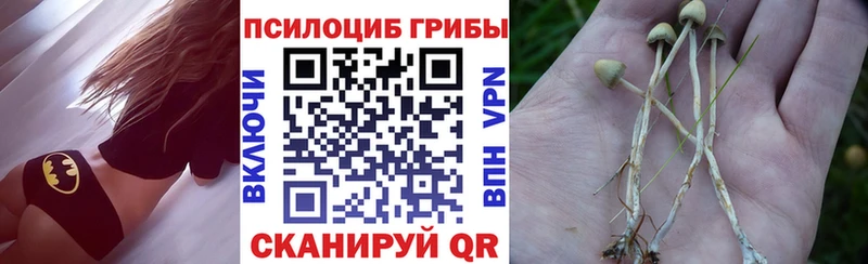 Псилоцибиновые грибы мухоморы Норильск