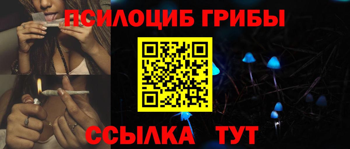 магазин продажи наркотиков  Вход с VPN  Норильск  Галлюциногенные грибы Psilocybine cubensis 